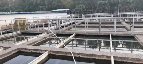 十年守望 湖北银鹭食品污水处理厂应用上海富晨材料后的酒糟案例回访